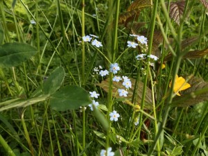 beskid wyspowy 27 (1)